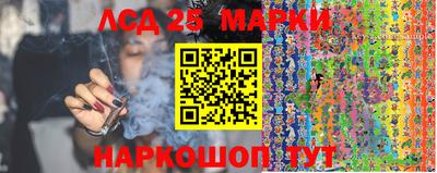 хмурый Гатчина