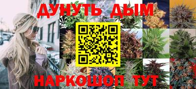 хмурый Гатчина