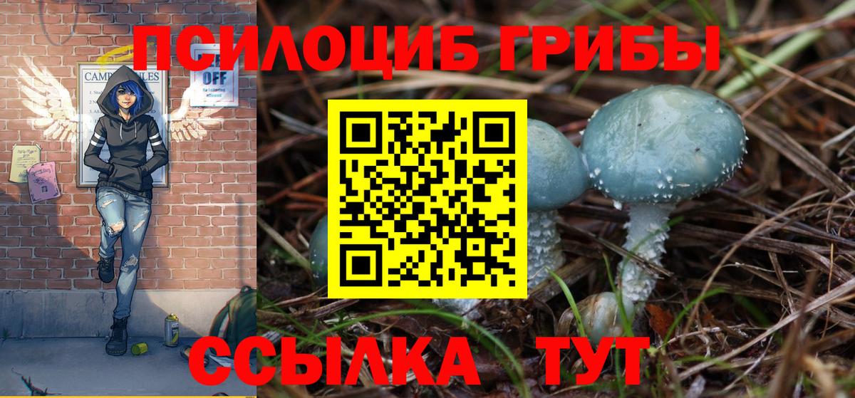 Псилоцибиновые грибы MAGIC MUSHROOMS  Вход с VPN  Галлюциногенные грибы GOLDEN TEACHER  Лесозаводск 